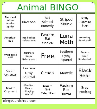 Animal Bingo