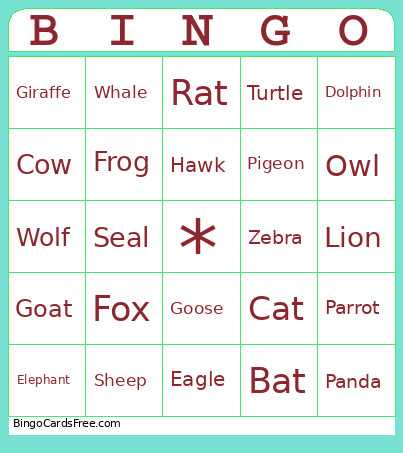 Animal Names Bingo Card