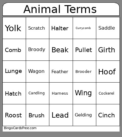 Animal Terms Bingo Card