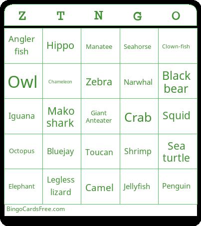 animal trivia  Bingo