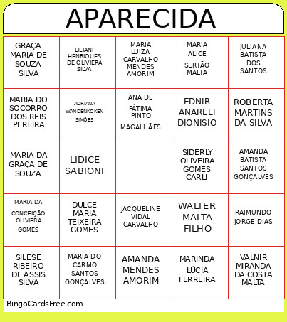 APARECIDA Bingo Card