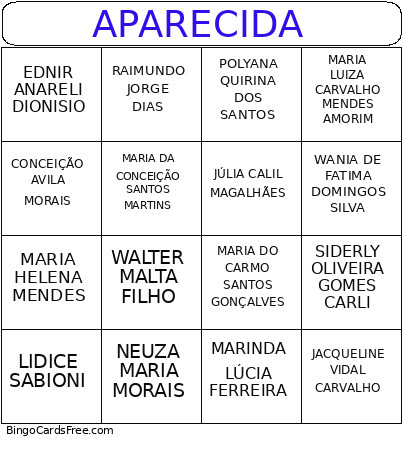 APARECIDA Bingo Card 2