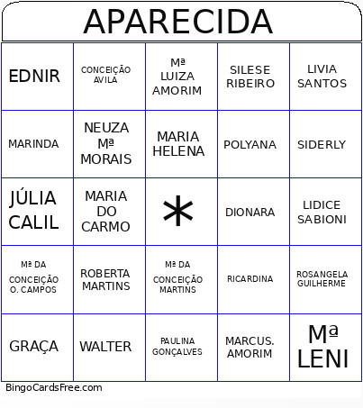 Aparecida Bingo Card