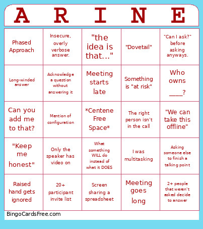 Arine Lingo Bingo Card