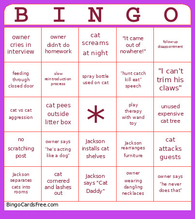Asdfadsfasdfasdf Bingo Card