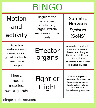Autonomic Nervous System Bingo Card