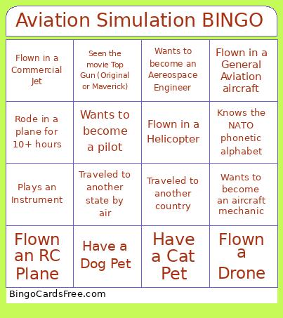 Aviation Simulation BINGO