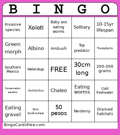 Axolotl Fish Club Bingo Card