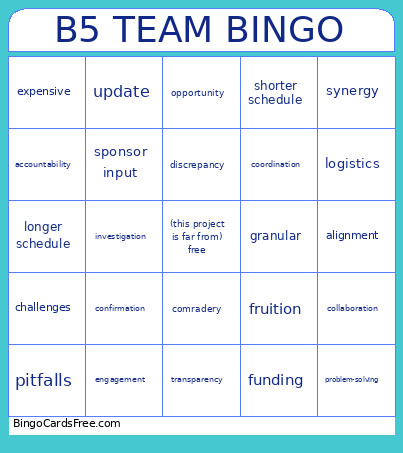 B5 TEAM Bingo Card