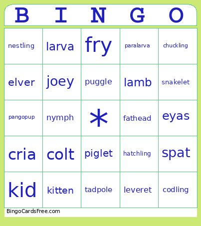 Baby Animal Bingo Card