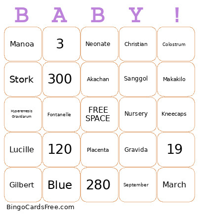 Baby Bingo Card