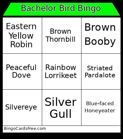 Bachelor Bird bingo