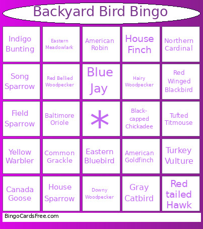 Backyard Bird Bingo Card
