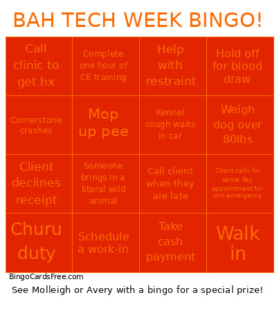 BAH TECH WEEK ! Bingo Card