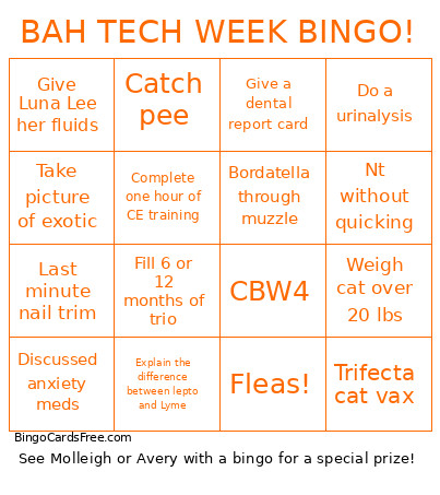 BAH TECH WEEK ! Bingo Card