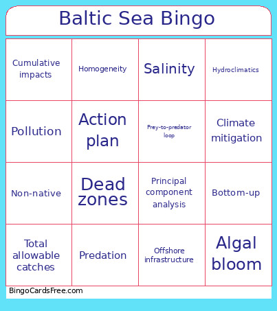 Baltic Sea Bingo Card