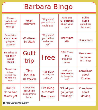 Barbara Bingo Card
