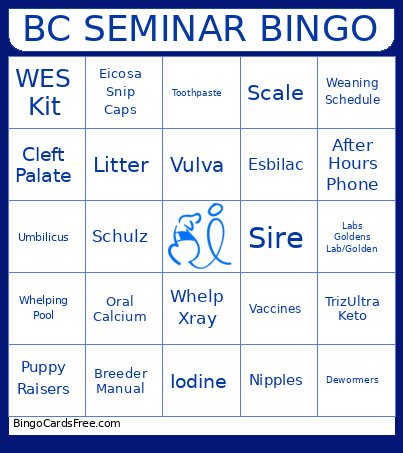 BC Seminar Bingo Card