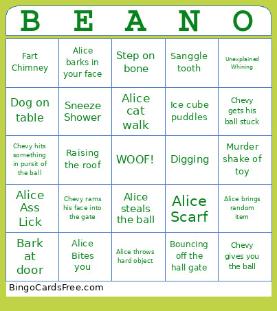 BEANO Bingo Card