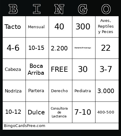 Bebés/Lactancia Trivia Bingo Card