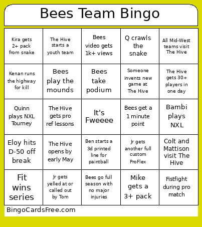 Bees Team Bingo Cards Free Pdf Printable Game, Title: Bees Team Bingo