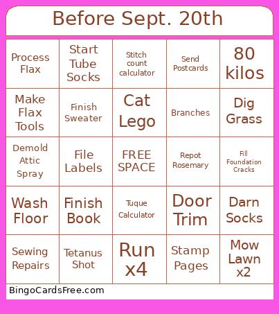 Before Sept. 20th Bingo Card