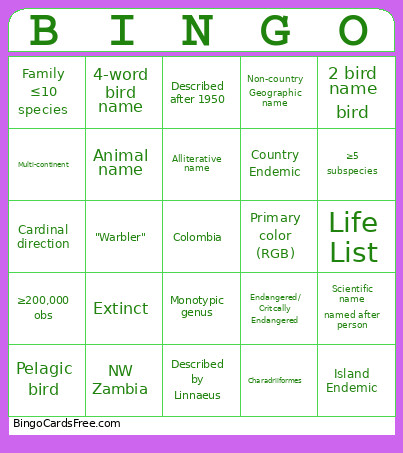 BG6 Part X Bingo Card