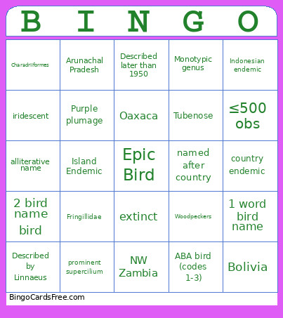 Bg6 Part X Bingo Card