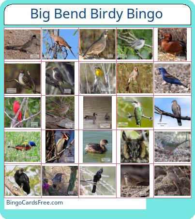 Big Bend Birdy Bingo