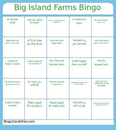 Big Island Farms Bingo Card