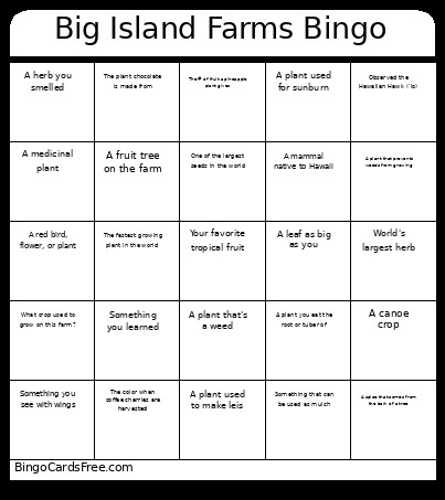 Big Islans Farms Bingo Card