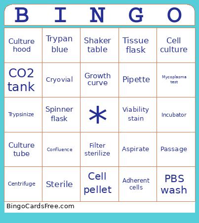 Bigbong Bingo