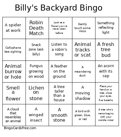 Billy's Backyard Bingo Card