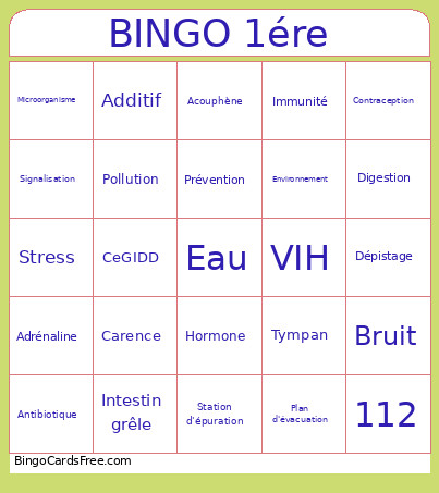 1ére Bingo Card