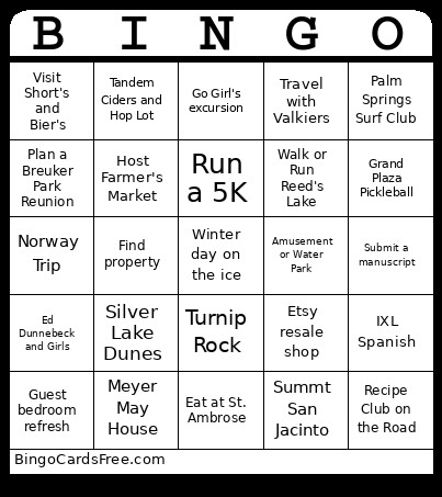 2026 Vision Board Bingo Card