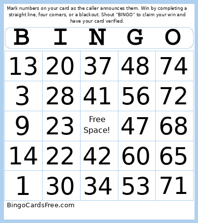 3°D Bingo Card