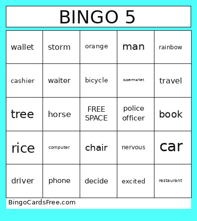5 Bingo Card