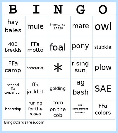 Bingo Card