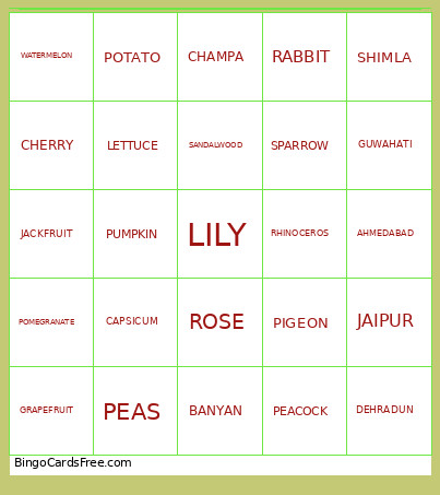 Bingo Card