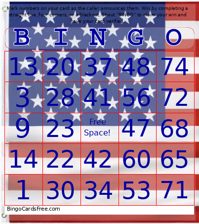America 1-75 Number + Audio Bingo Card