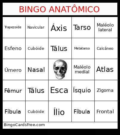 BINGO ANATÔMICO
