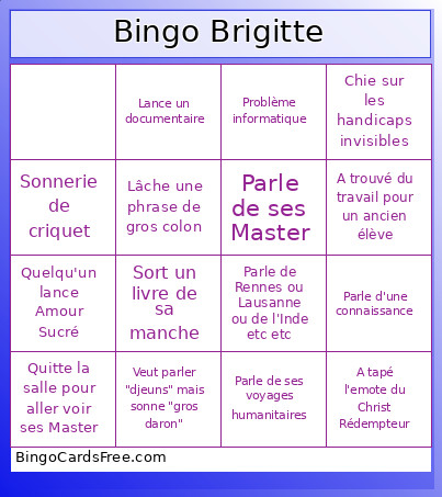 Brigitte Bingo Card 2