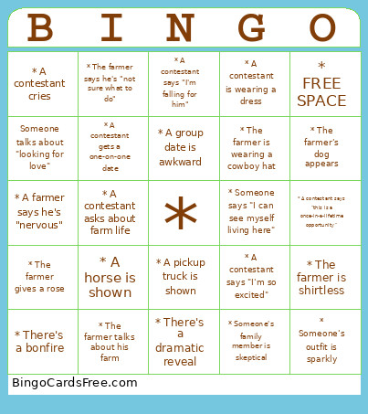1 Bingo Card