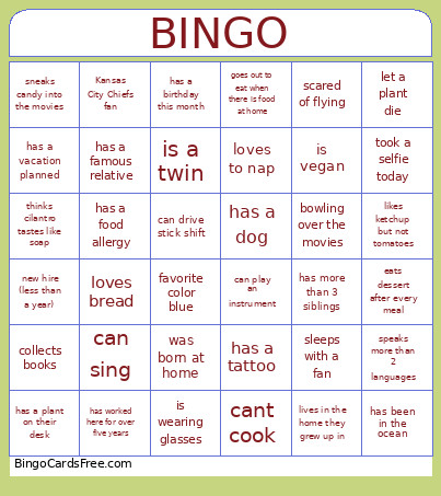 1 Bingo Card