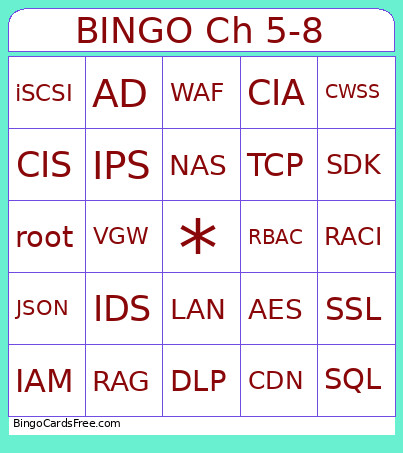Ch 5-8 Bingo Card
