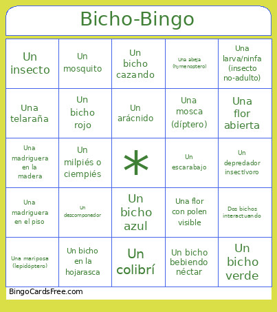 De Bichos Bingo Card