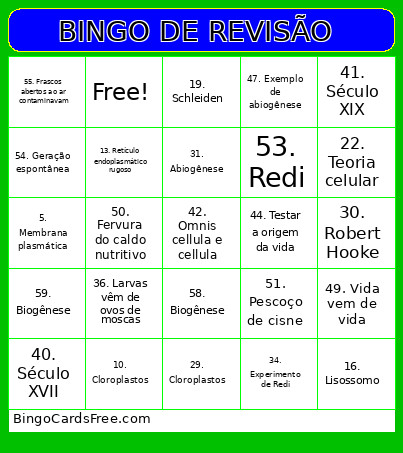 DE REVISÃO Bingo Card