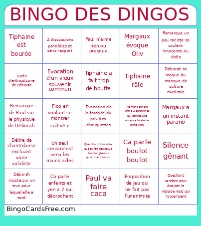 DES DINGOS Bingo Card
