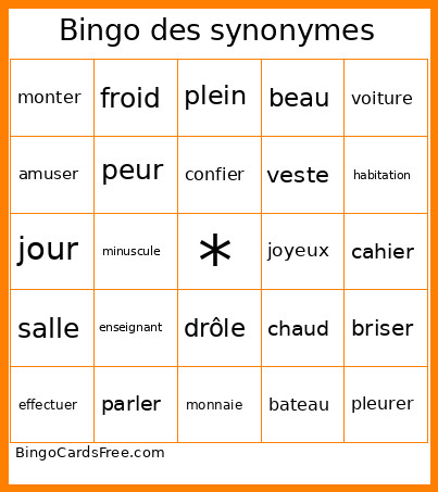 Des Synonymes Bingo Card