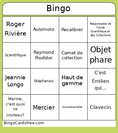 Bingo dingo